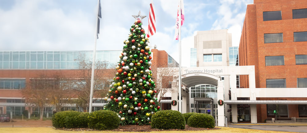 Festival of Trees